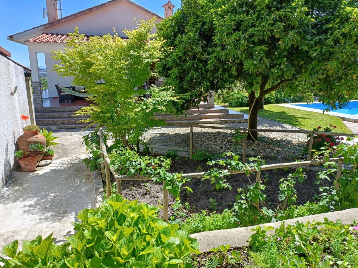 Casa Da Gardunha Villa Corticada  Kültér fotó