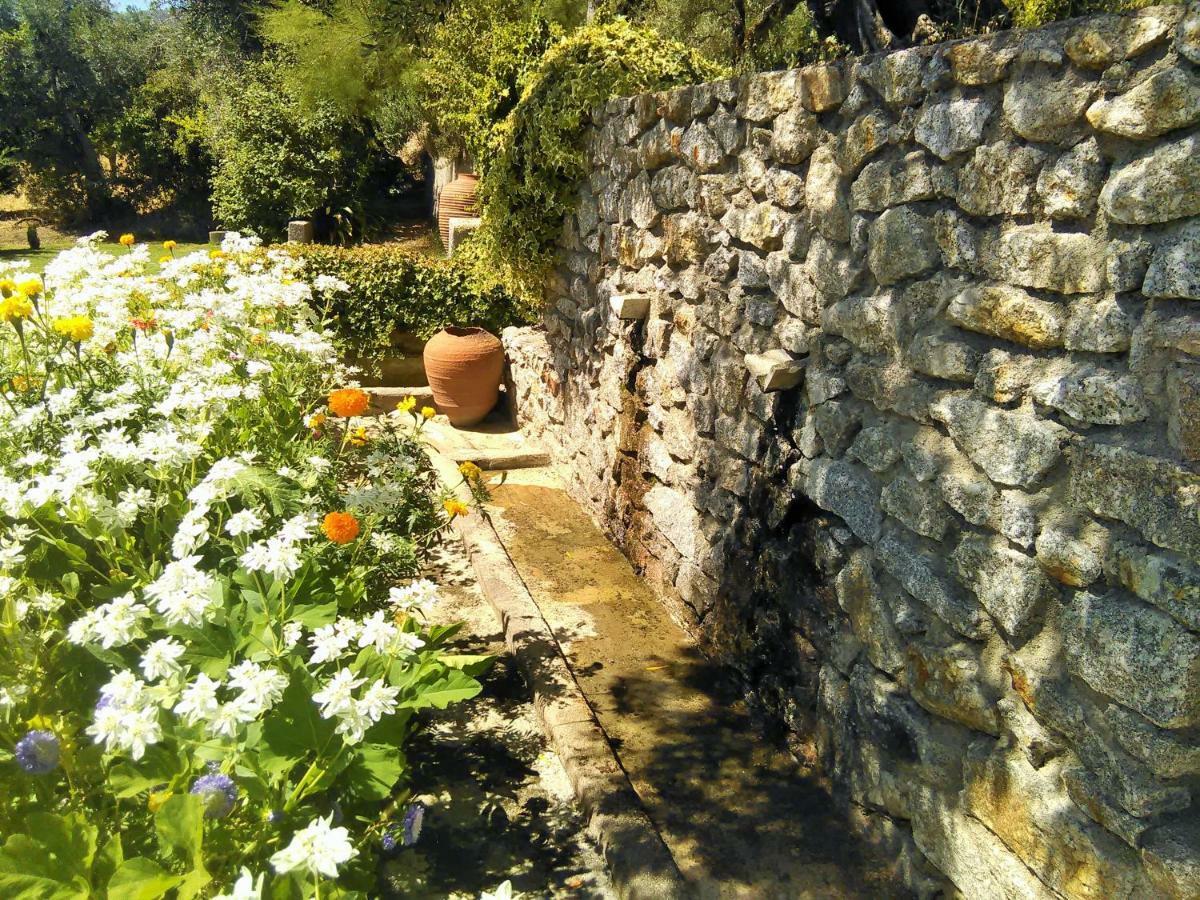 Casa Da Gardunha Villa Corticada  Kültér fotó